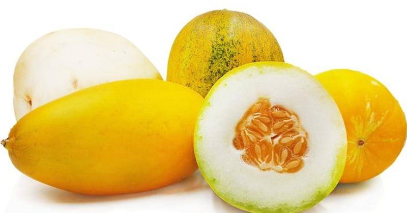 Pinterest.com/specialtyproduce